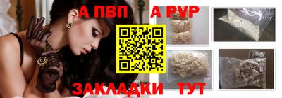 крисы Славгород