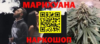 крисы Славгород