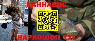 крисы Славгород