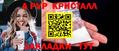 крисы Славгород
