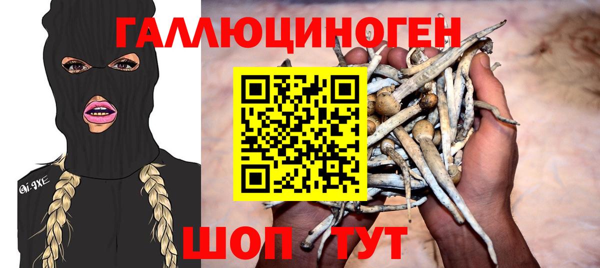 Галлюциногенные грибы MAGIC MUSHROOMS Ногинск